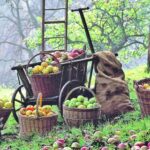 Задачи для дачи на август